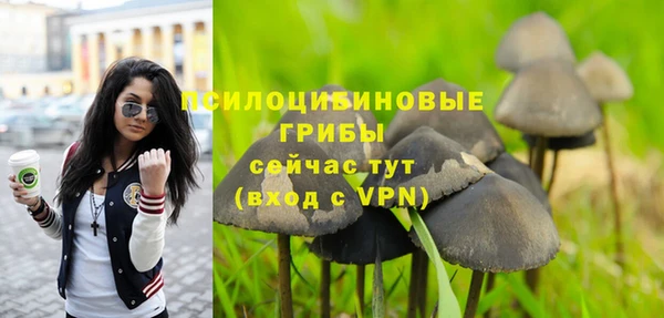 соль курить ск Алексин