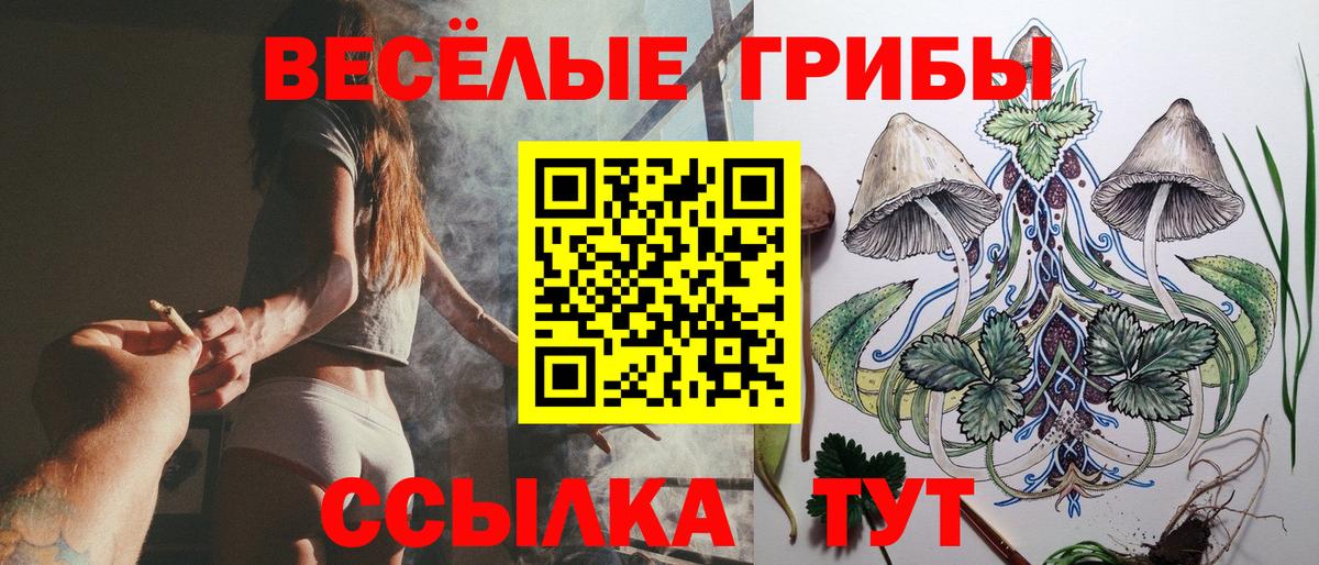 Галлюциногенные грибы прущие грибы  Вход с VPN  Ржев  Псилоцибиновые грибы MAGIC MUSHROOMS 