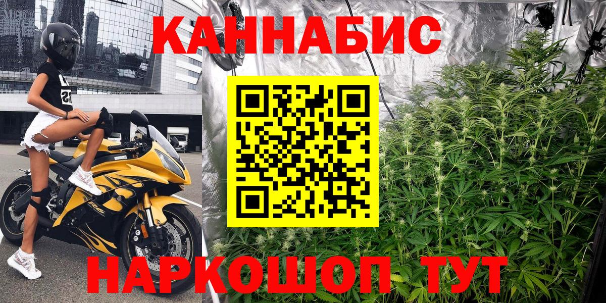 Бошки марихуана VHQ Ржев